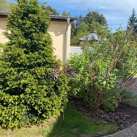 Strandkojen Trassenheide Luaran gambar